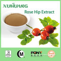 Manufacturer Rosa Rugosa Thunb/Rosehip extract powder/Rose Hips Extract